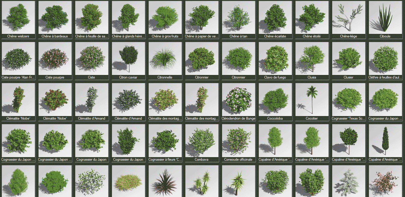 bibliotheque-vegetaux